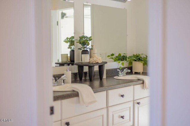 bathroom featuring sink