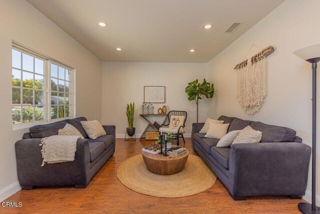 living room featuring hardwood / wood-style flooring