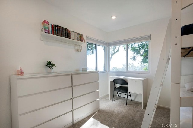 office featuring carpet floors