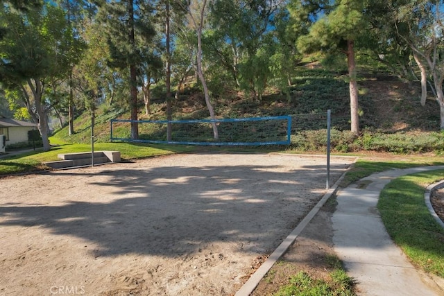 view of home's community with volleyball court