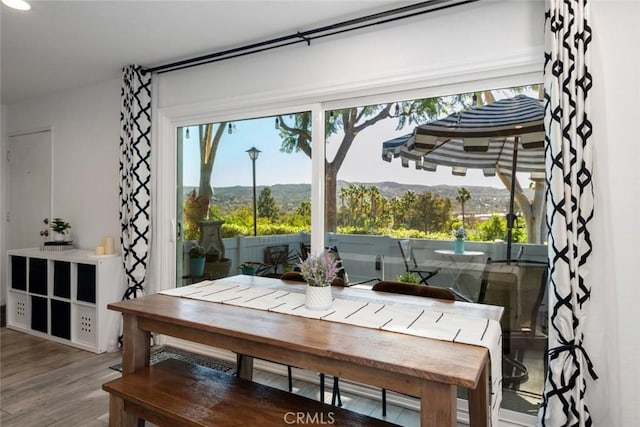 dining area with a mountain view and hardwood / wood-style flooring