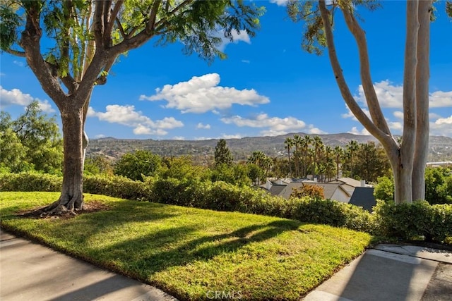 view of yard with a mountain view