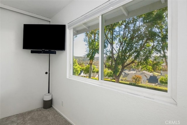 interior space featuring carpet