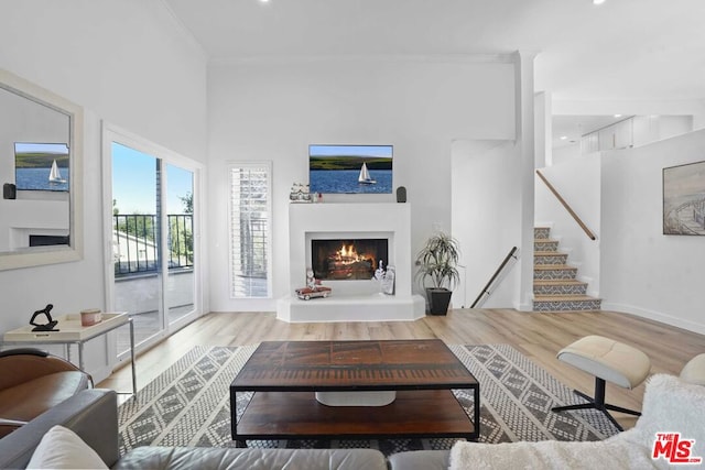 living room featuring hardwood / wood-style flooring