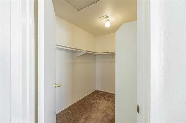 spacious closet featuring carpet