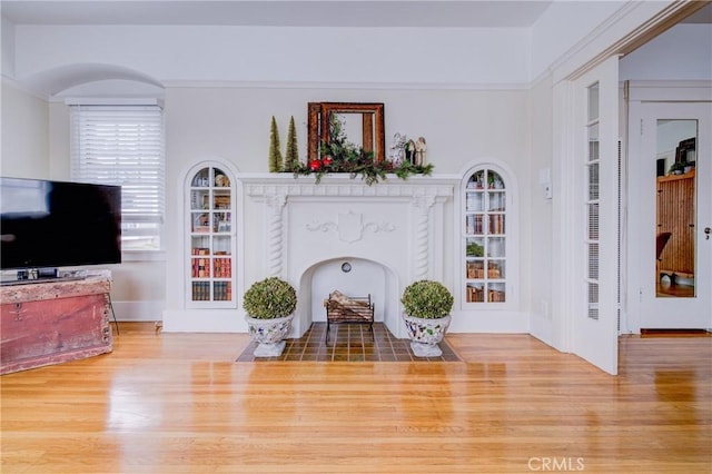 living room featuring wood-type flooring