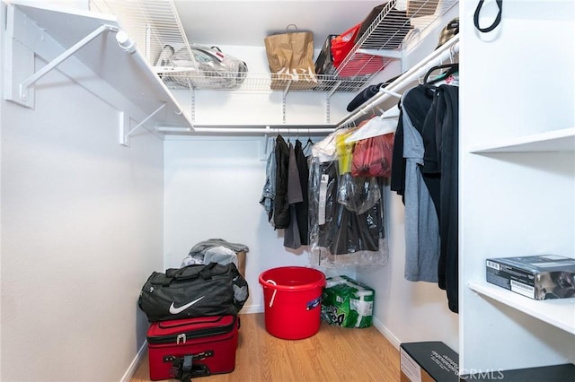 walk in closet featuring wood-type flooring