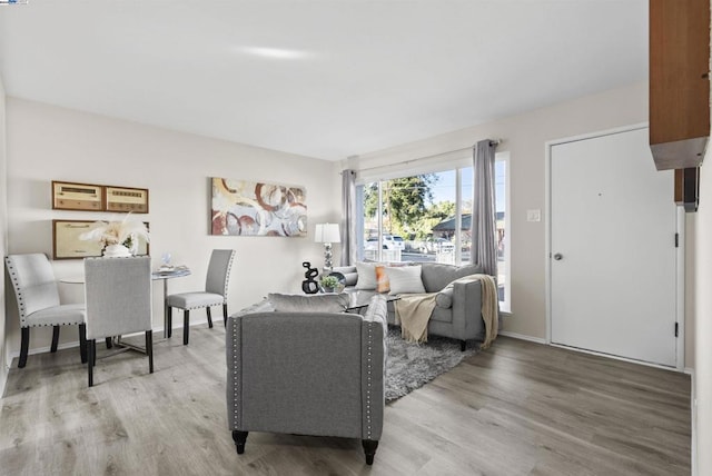 living room with wood-type flooring