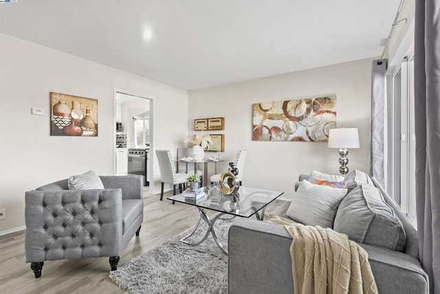 living room with light hardwood / wood-style floors