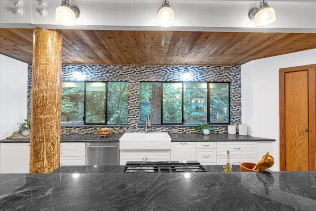 kitchen with stainless steel dishwasher, plenty of natural light, and hanging light fixtures