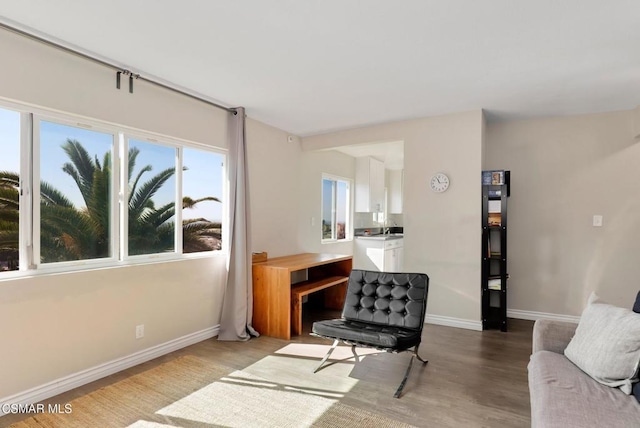 living area featuring light wood-type flooring