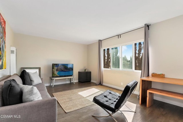 living room featuring dark wood-type flooring