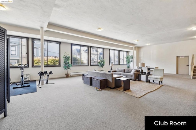 living room with light carpet and a baseboard radiator