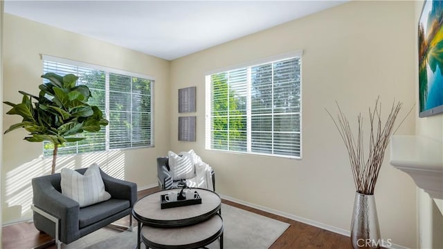 living area featuring hardwood / wood-style flooring