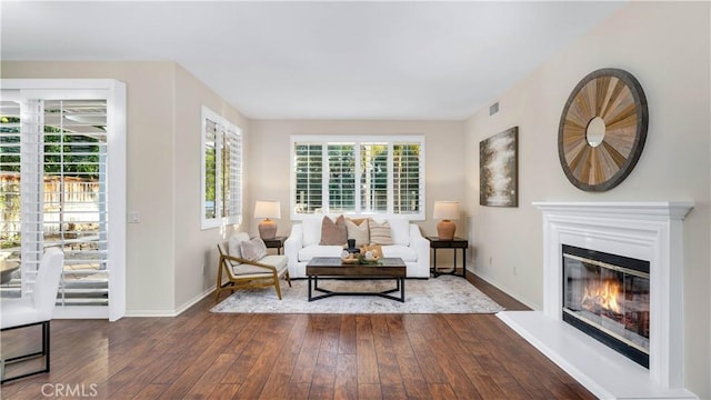 living room featuring hardwood / wood-style floors