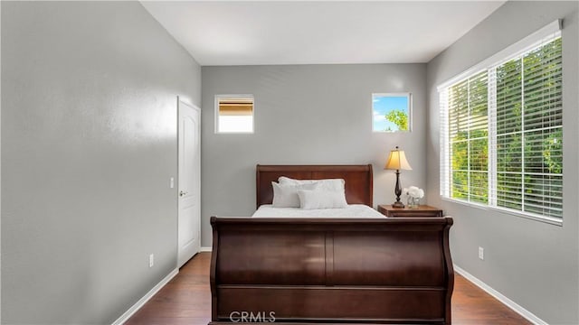 bedroom featuring multiple windows and dark hardwood / wood-style flooring