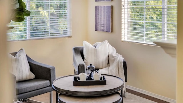 sitting room featuring hardwood / wood-style floors