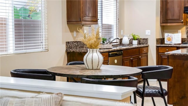 kitchen with dark stone counters, sink, and stainless steel dishwasher