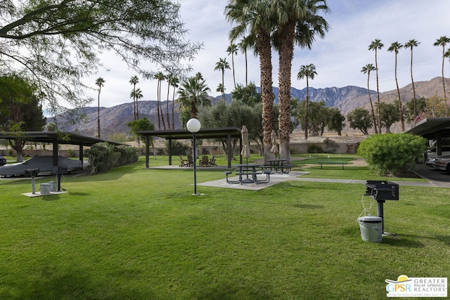 view of community featuring a mountain view and a yard