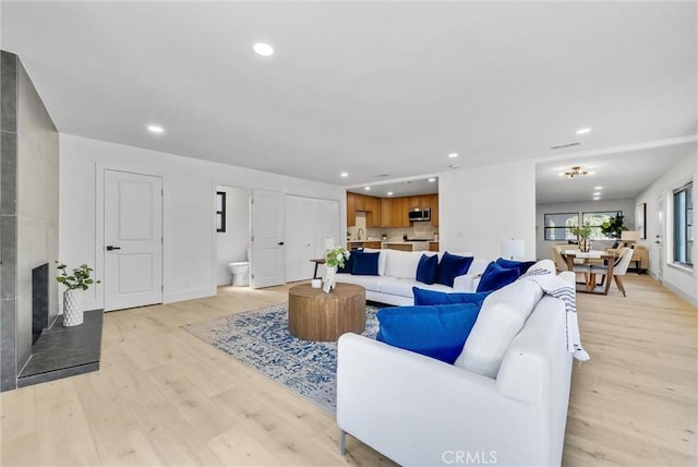 living room featuring a fireplace and light wood-type flooring