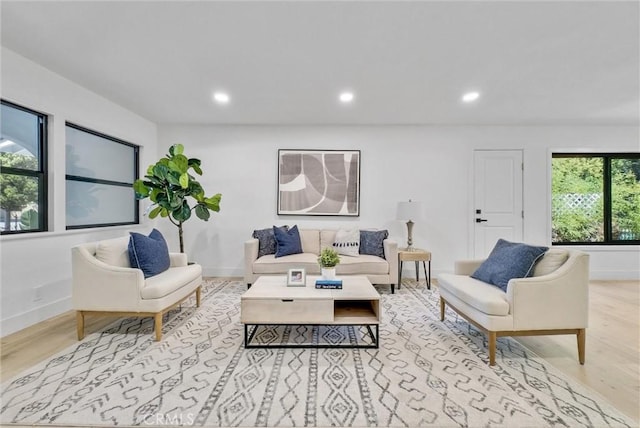 living room featuring light hardwood / wood-style flooring