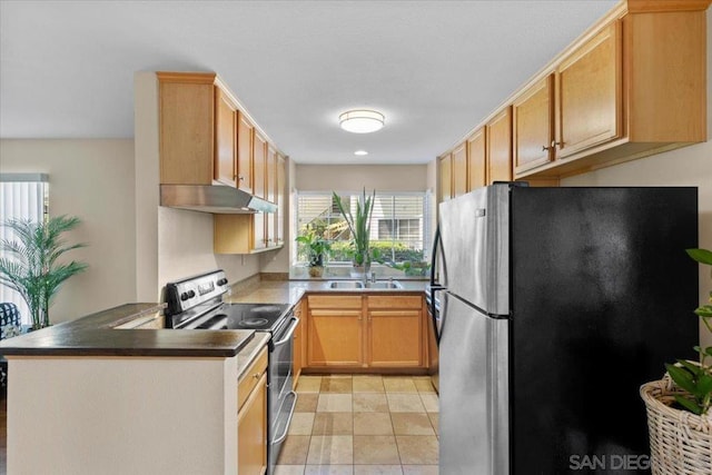 kitchen featuring a healthy amount of sunlight, sink, stainless steel appliances, and light brown cabinets