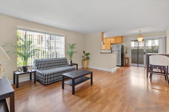 living room featuring light hardwood / wood-style flooring