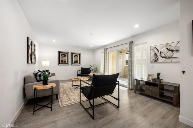 living room featuring hardwood / wood-style floors