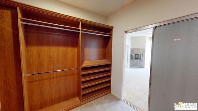 spacious closet with light carpet