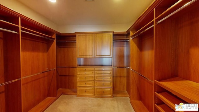 view of walk in closet