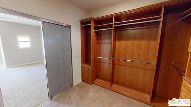 walk in closet featuring light colored carpet