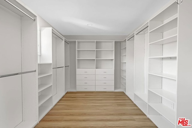 spacious closet with light wood-type flooring