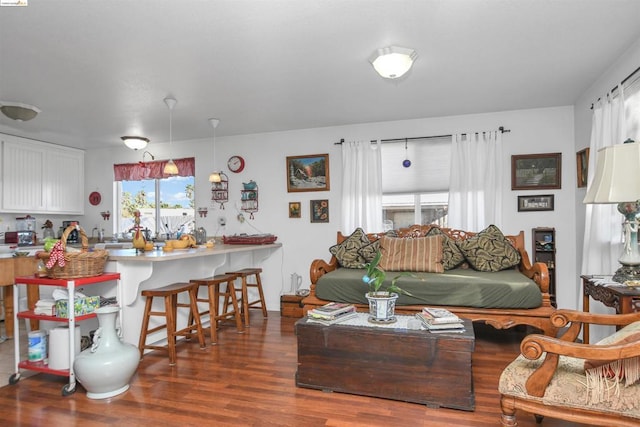 living room featuring dark hardwood / wood-style flooring