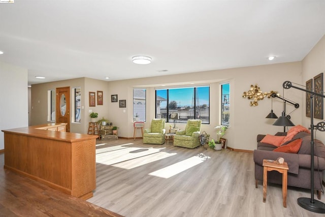 living room with light hardwood / wood-style flooring