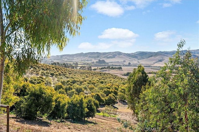 property view of mountains with a rural view