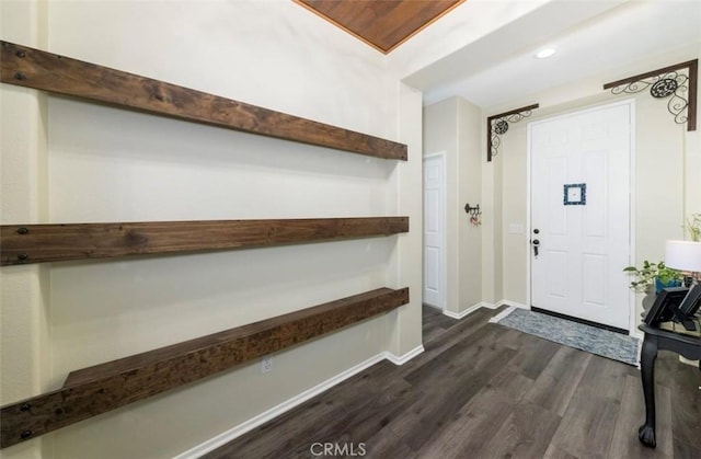 foyer entrance featuring dark hardwood / wood-style floors