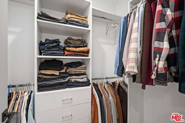 view of spacious closet