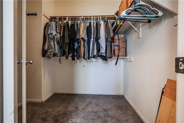 walk in closet with carpet flooring