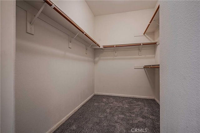 walk in closet with carpet