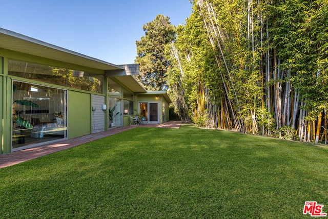 view of yard featuring a patio area