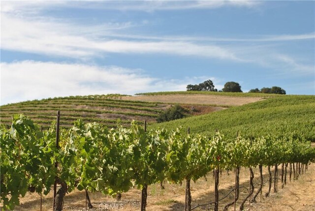 2867 Township Rd, Paso Robles, CA 93446 - photo 47