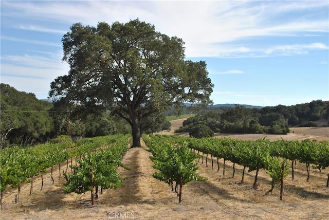 view of yard featuring a rural view