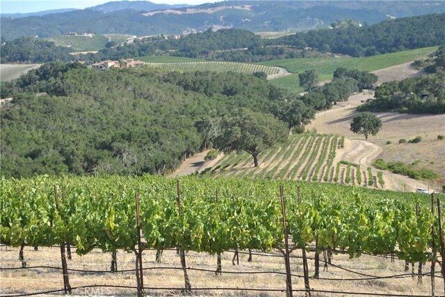 2867 Township Rd, Paso Robles, CA 93446 - photo 48
