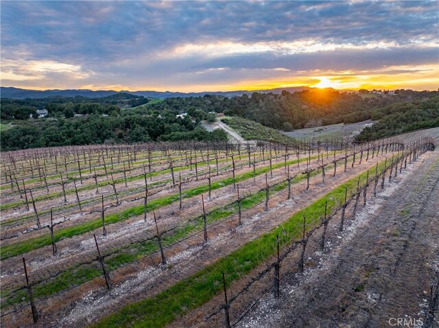 2867 Township Rd, Paso Robles, CA 93446 - photo 50