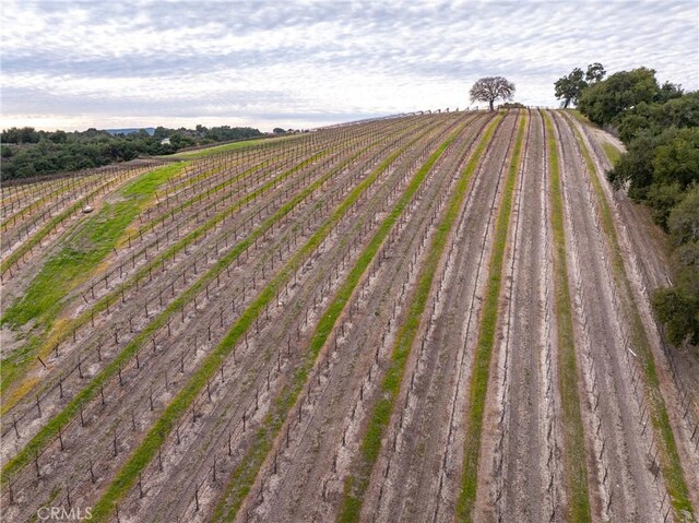2867 Township Rd, Paso Robles, CA 93446 - photo 64