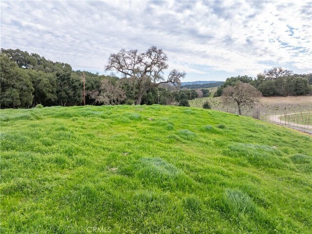 2867 Township Rd, Paso Robles, CA 93446 - photo 70