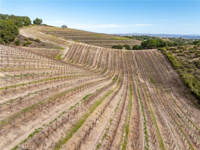 2867 Township Rd, Paso Robles, CA 93446 - photo 60