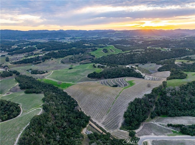 2867 Township Rd, Paso Robles, CA 93446 - photo 73