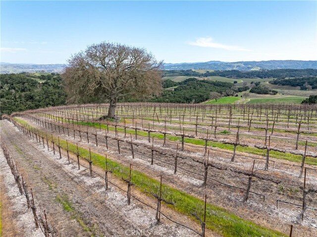 2867 Township Rd, Paso Robles, CA 93446 - photo 62