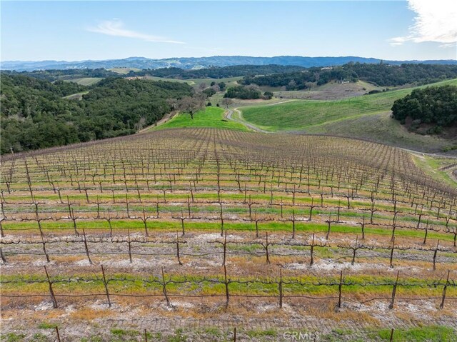 2867 Township Rd, Paso Robles, CA 93446 - photo 63